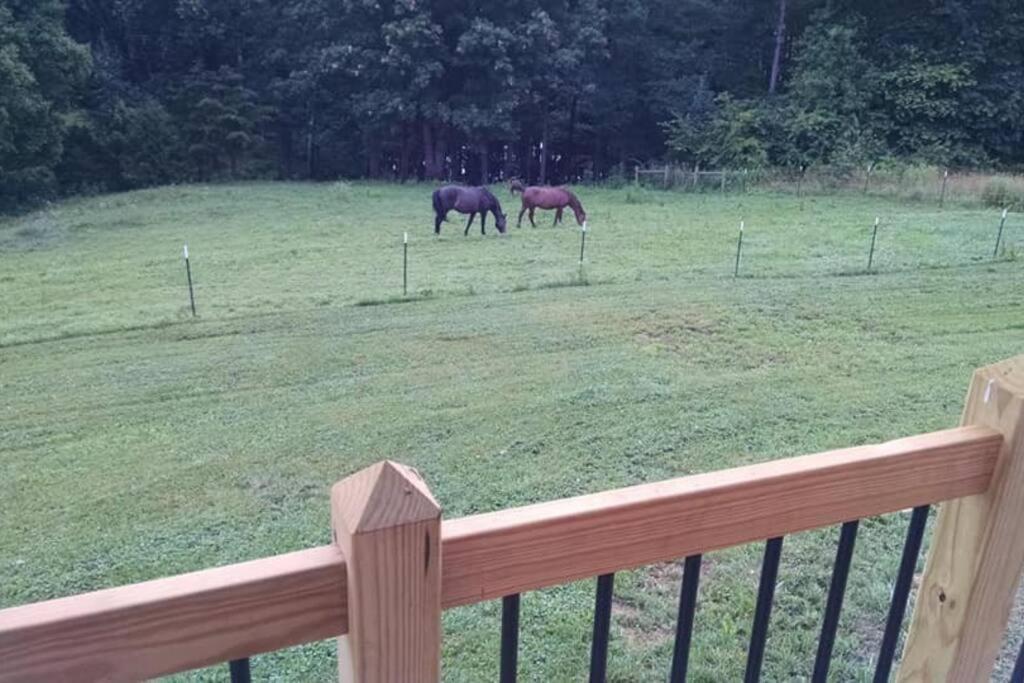 芒特艾里The Ranch In Mt Airy别墅 外观 照片